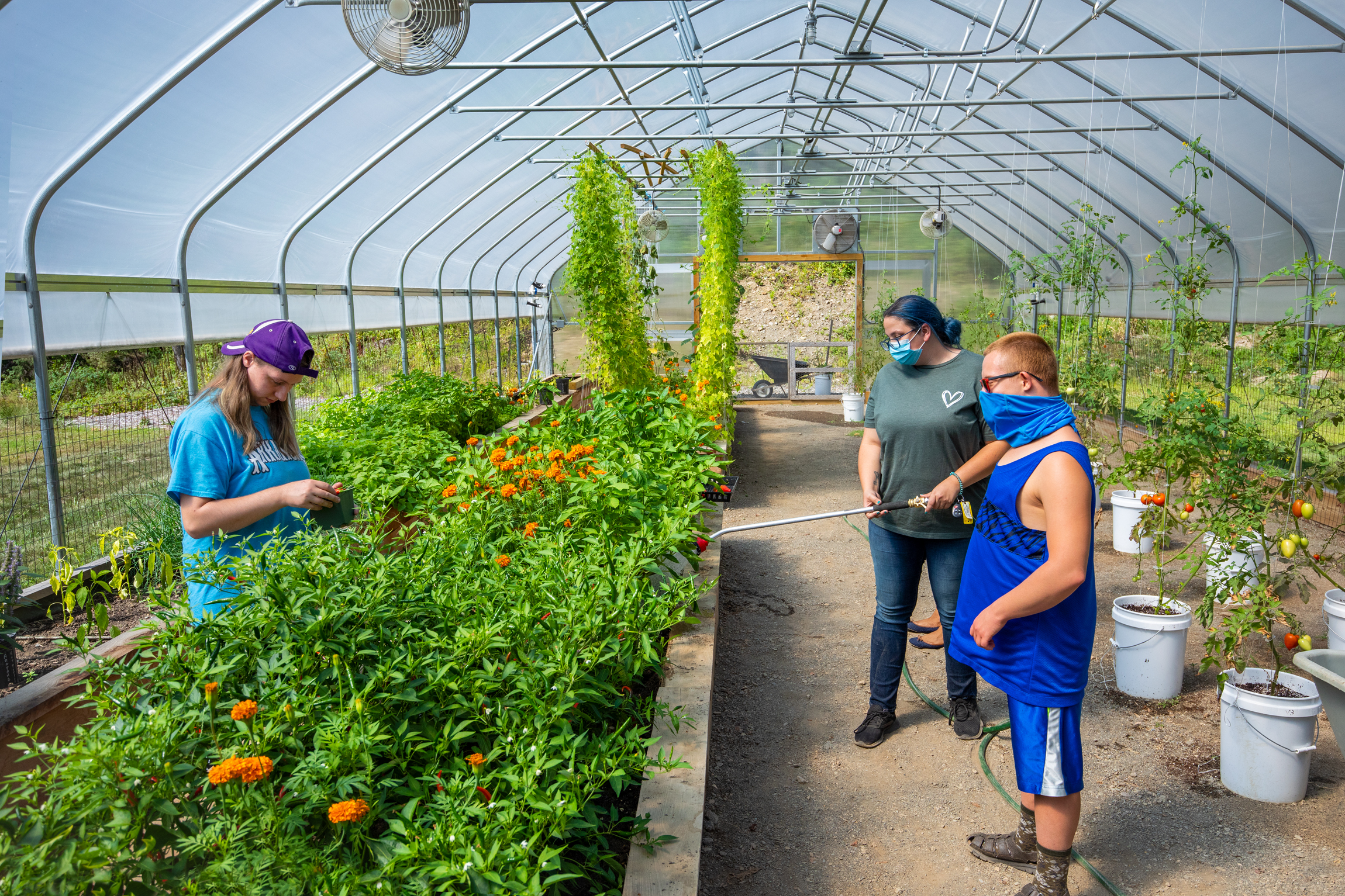 Therapeutic farming offers time to grow in the greenhouse.