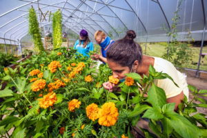 Taking time to smell the marigolds is part of the recreational farm programming.