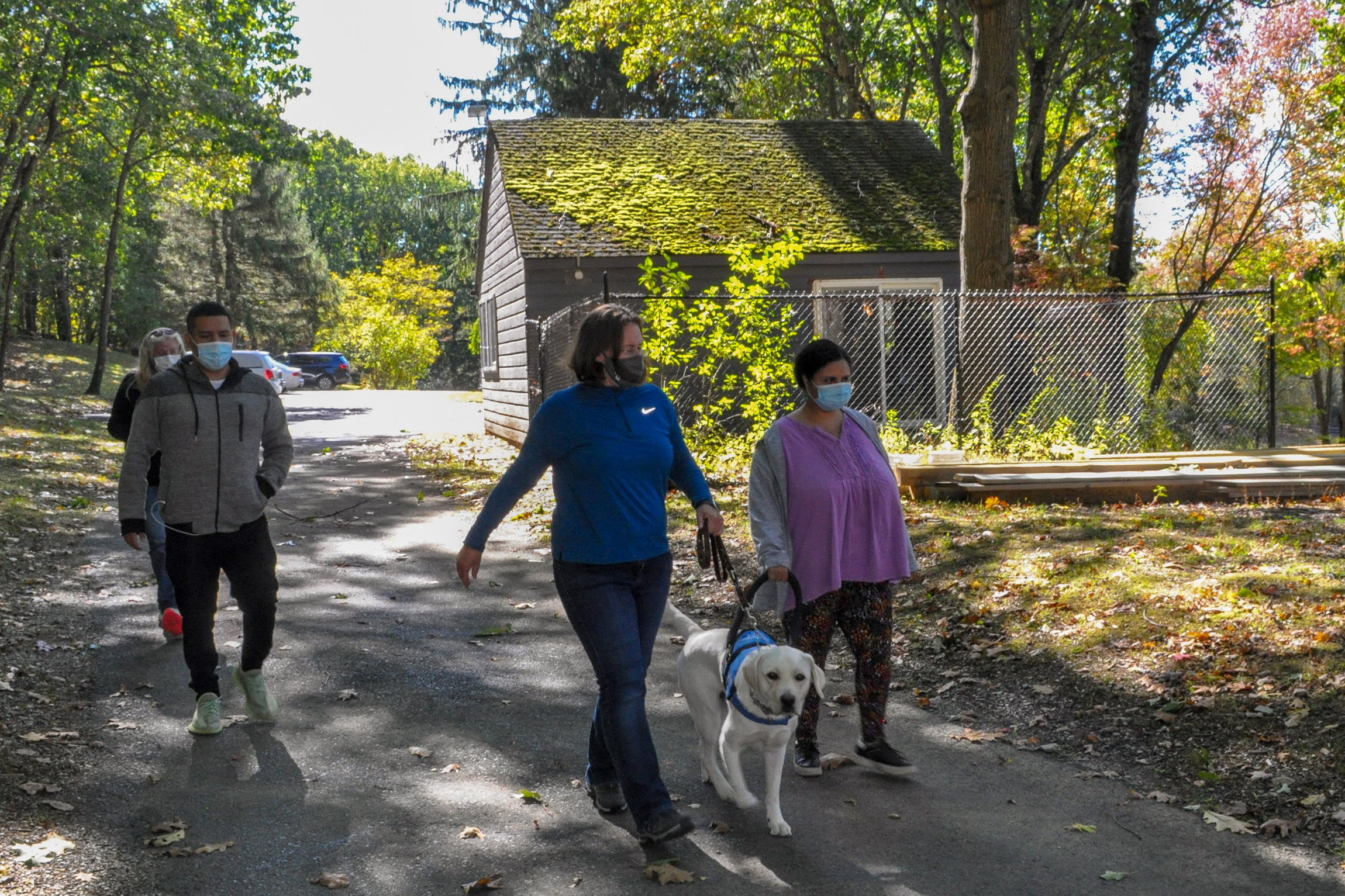 Dog walking is part of the wellness and pet care part of the residential program.