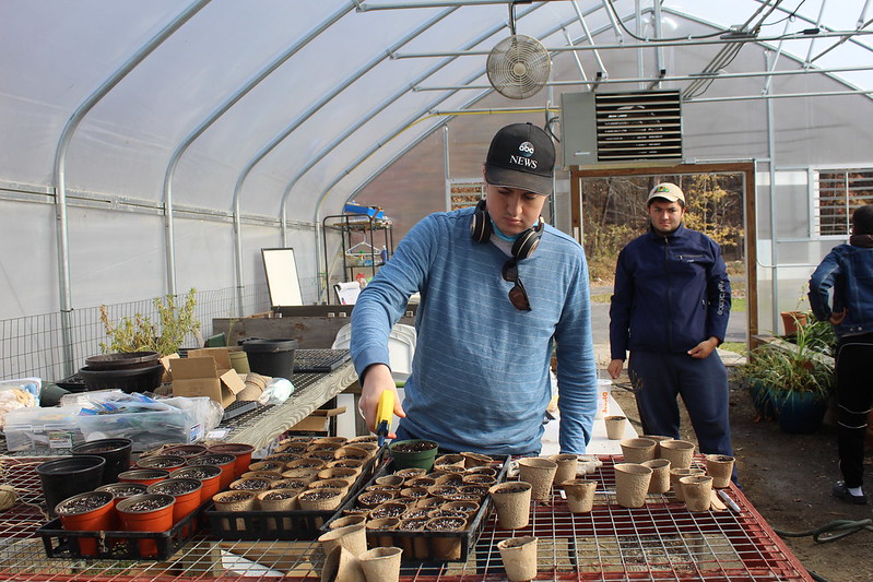 Farmers in the agricultural program at Cultivating Dreams water seeds in the greenhouse. 