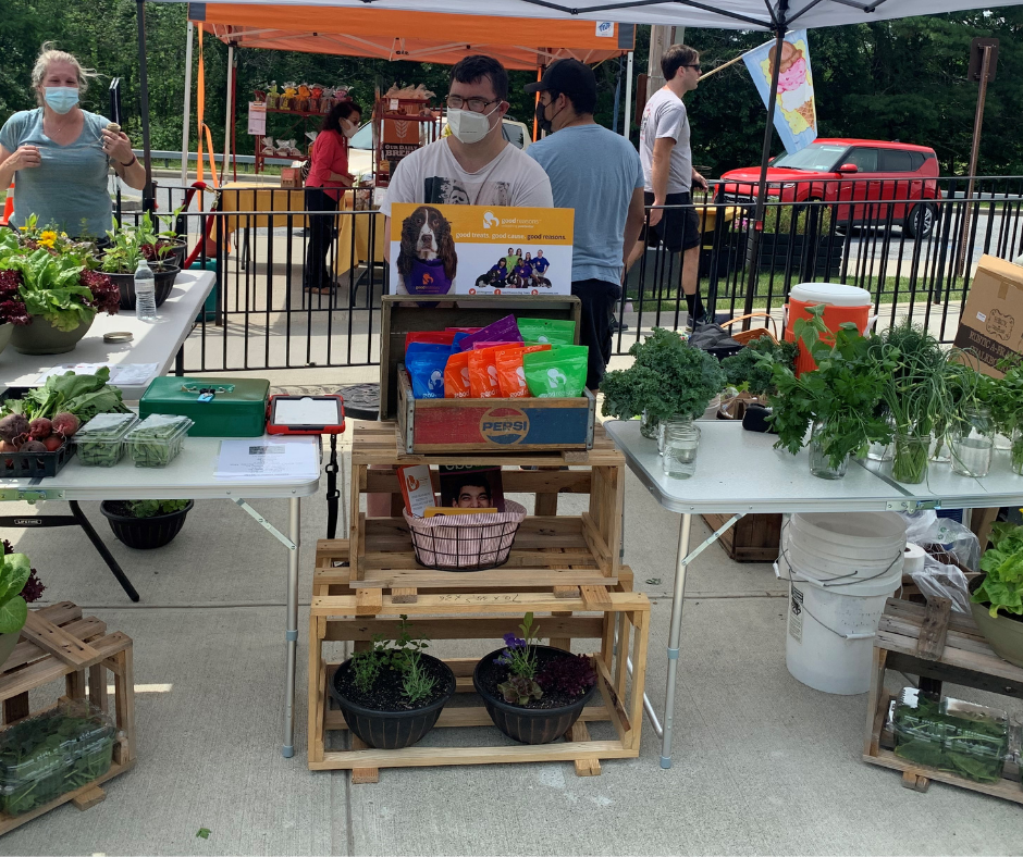 The Cultivating Dreams stand at the Taste of NY Farmers Market